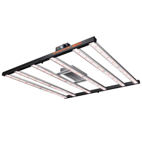 Spider Farmer G5000 extended light bar for uniform canopy coverage in a 4x4 grow tent.