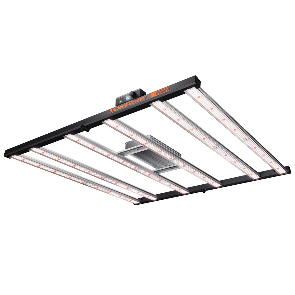 Spider Farmer G5000 extended light bar for uniform canopy coverage in a 4x4 grow tent.