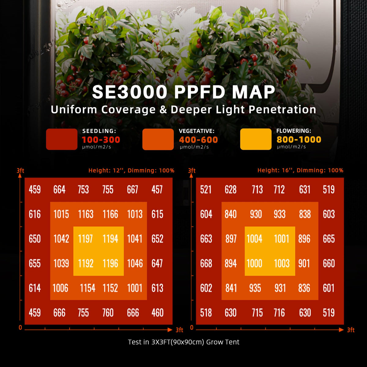 SE3000 app control enables scheduling and remote brightness adjustments.