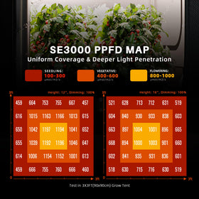 SE3000 app control enables scheduling and remote brightness adjustments.