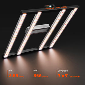 SE3000 daisy-chain capability supports scalable multi-light setups.