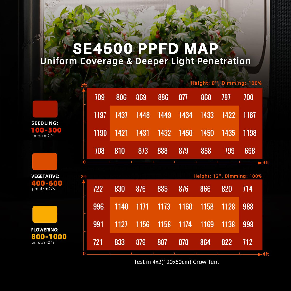 Sunrise and sunset simulation features on Spider Farmer SE4500