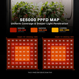 SE5000 dimmable with digital display for precise brightness.