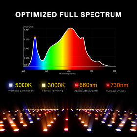 SF1000D full-spectrum light, 660-665nm, supports all growth stages.