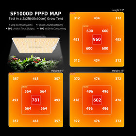 SF1000D close-up of LM301B diodes for efficient light distribution.