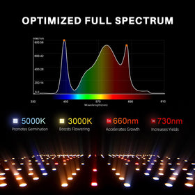 SF2000Pro dimming knob enables adjustable light for growth stages.