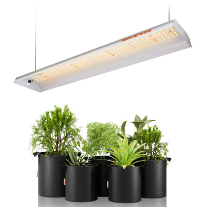 Spider Farmer SF300 front view, compact design ideal for tight grow spaces