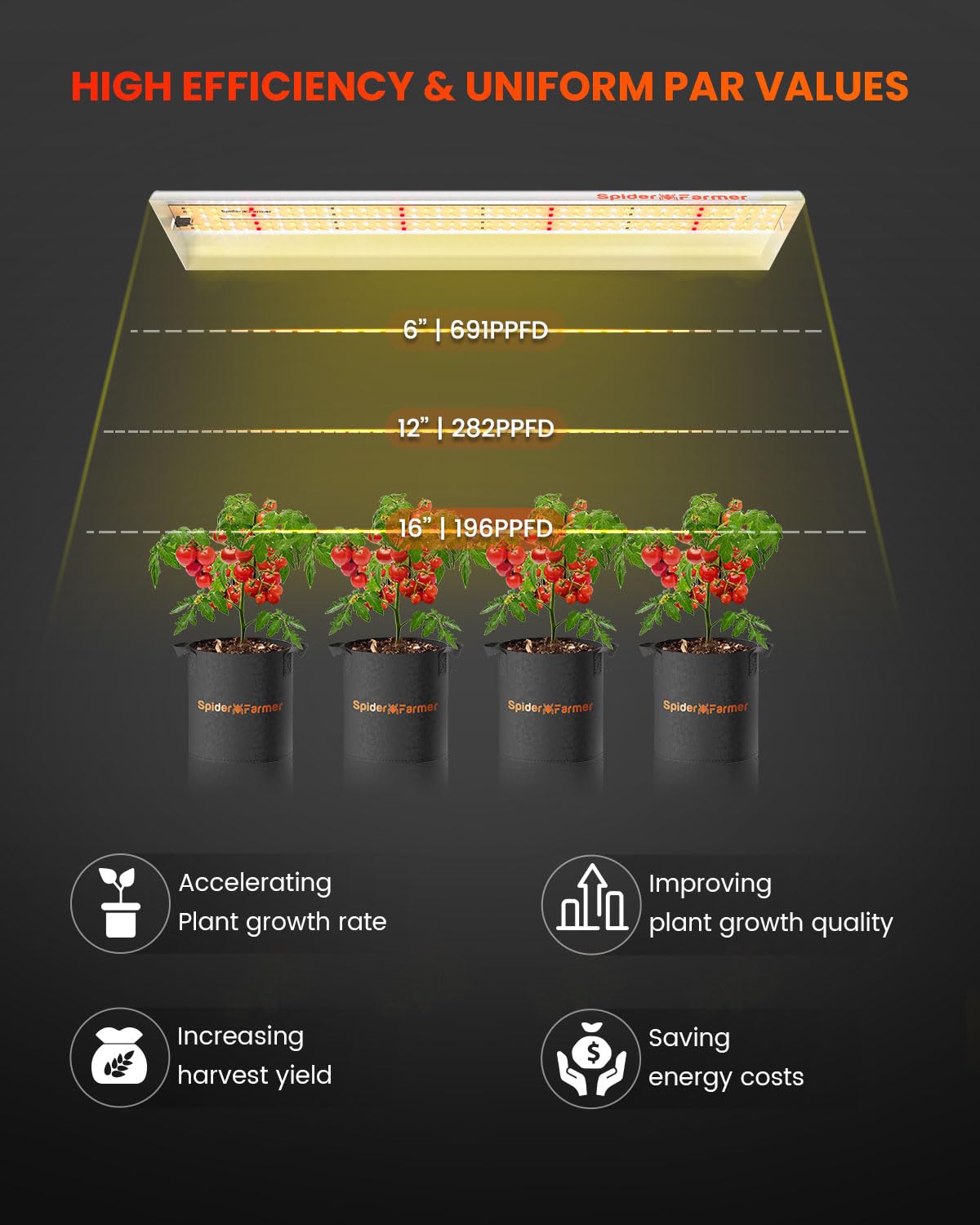 SF300 full-spectrum bands support robust germination and balanced growth