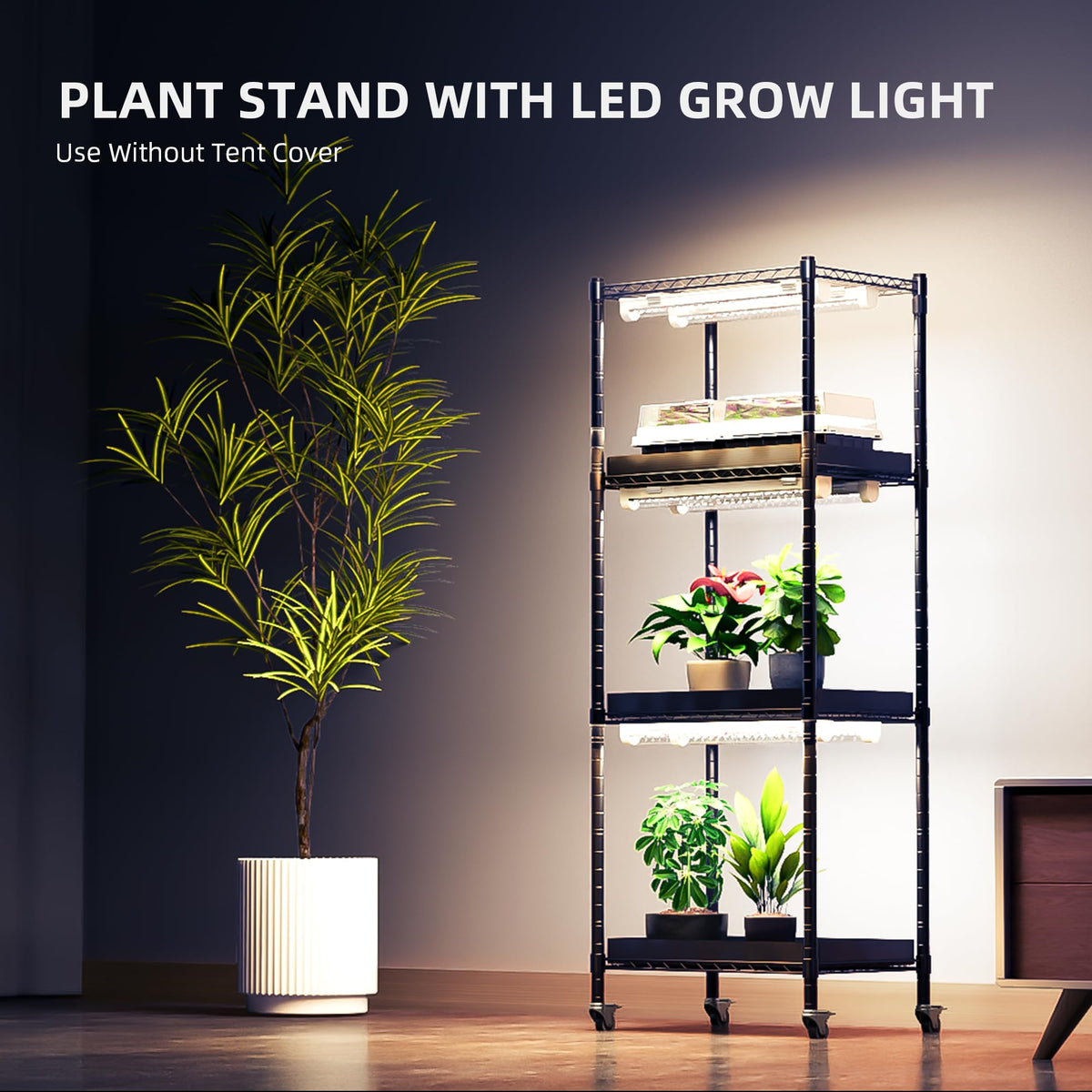 Six 12-inch LEDs evenly illuminate each shelf for seedlings.
