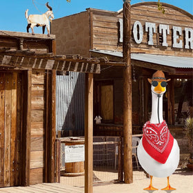 SPNKMJUJ shiny cowboy hat on goose outfit adds instant Western flair
