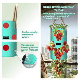 SPONDWILD 13-hole hanging design encourages easy seeding and balanced growth