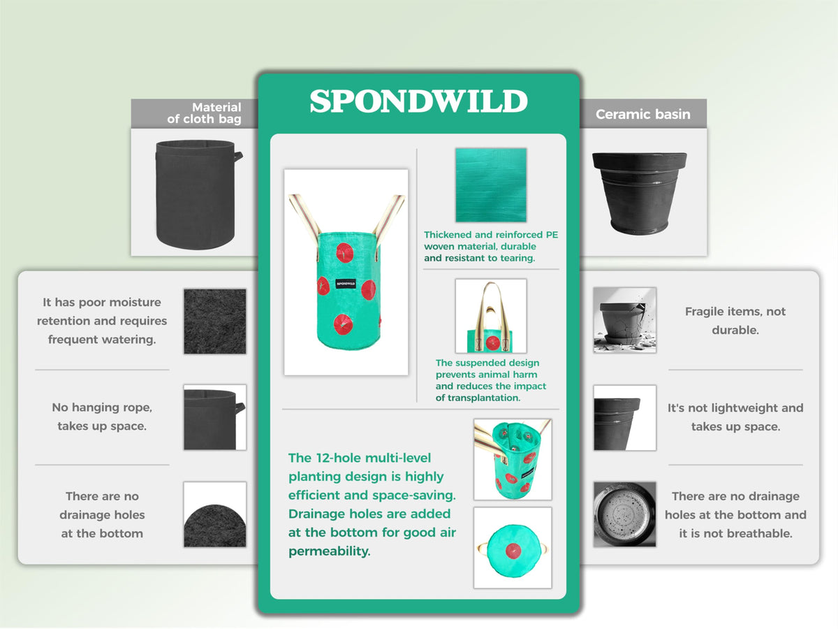 SPONDWILD bottom drain hole planter ensures proper moisture and root health