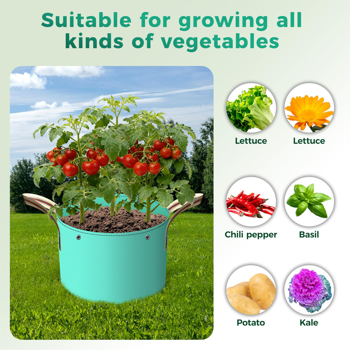 Branch-binding holes on SPONDWILD bag enable gentle low-stress training of stems