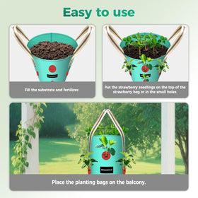 SPONDWILD versatile growth for strawberries, tomatoes, herbs, and peppers in small spaces
