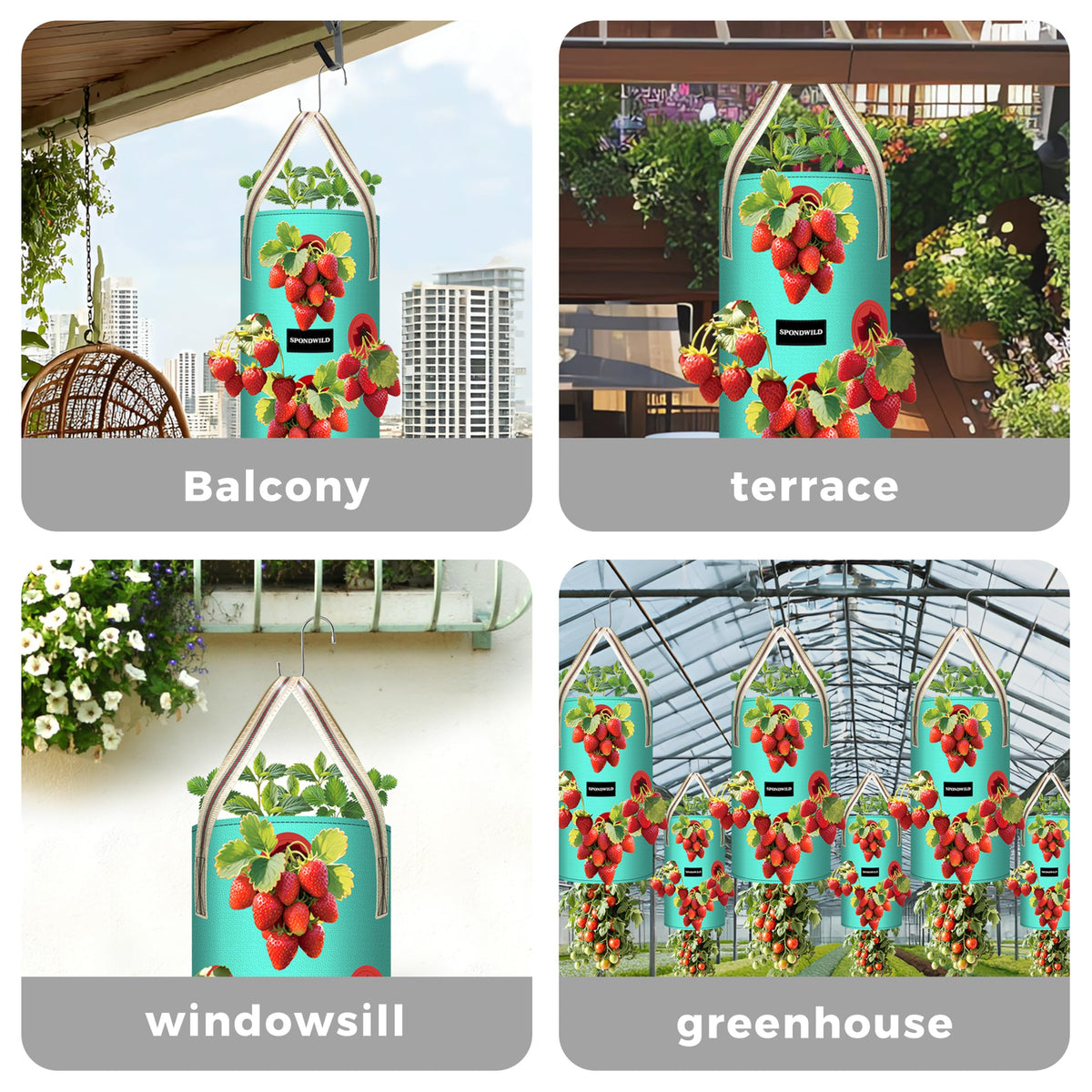 SPONDWILD indoor-outdoor use makes balcony gardens easy and productive
