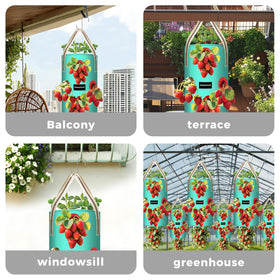 SPONDWILD indoor-outdoor use makes balcony gardens easy and productive