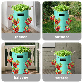 SPONDWILD 10-gallon grow bags suit yard, terrace, and balcony gardens.