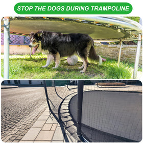 SPORTYOUTH chicken run barrier netting creating a safe outdoor space.