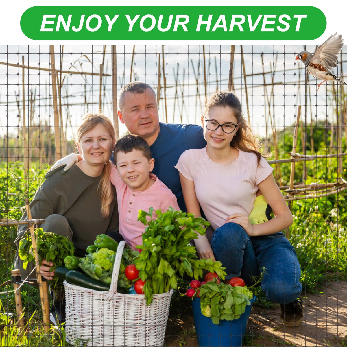 SPORTYOUTH plant protection netting easily trimmed to fit crops and beds.