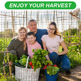 SPORTYOUTH plant protection netting easily trimmed to fit crops and beds.