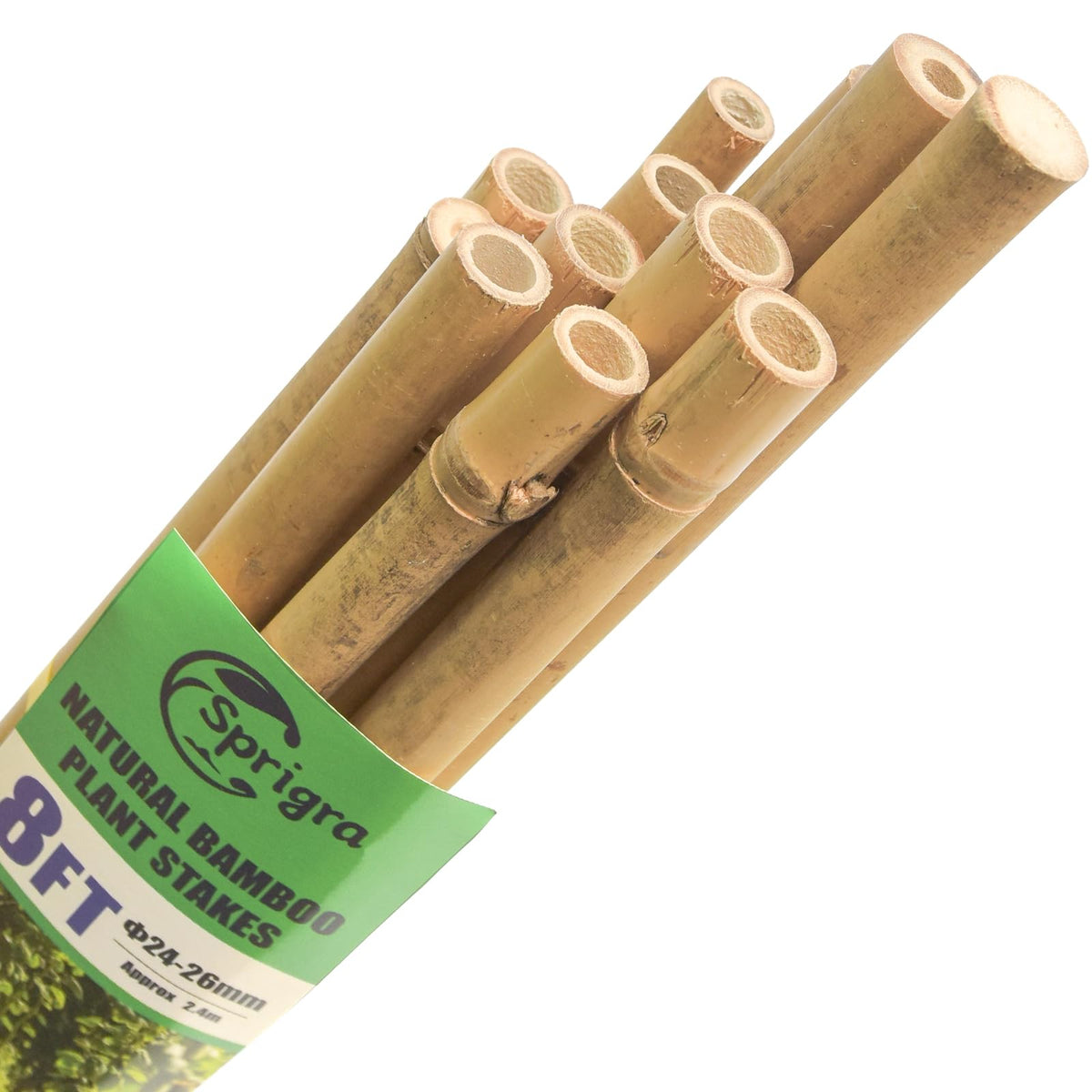 Sprigra bamboo stakes 8ft garden support ready to anchor tall plants.