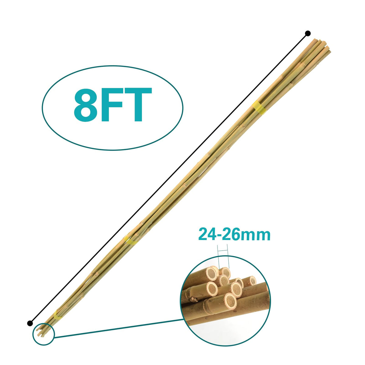 Sprigra bamboo stakes cucumber stake use keeps climbing vines tidy.