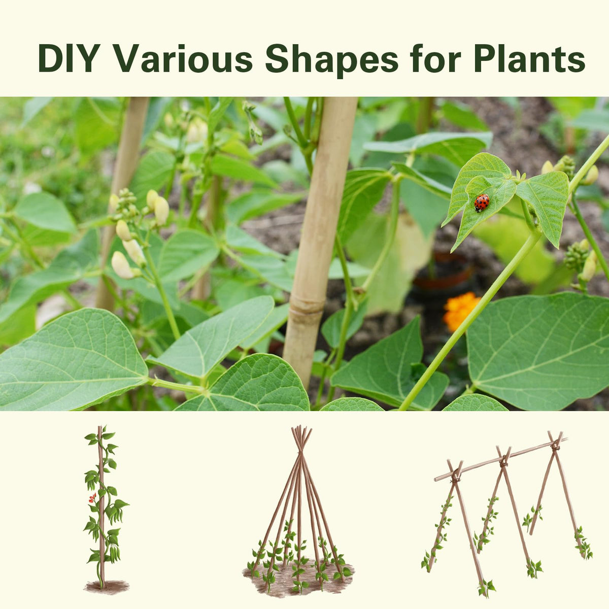 Sprigra bamboo stakes packaging includes 10 pieces for multiple plants.