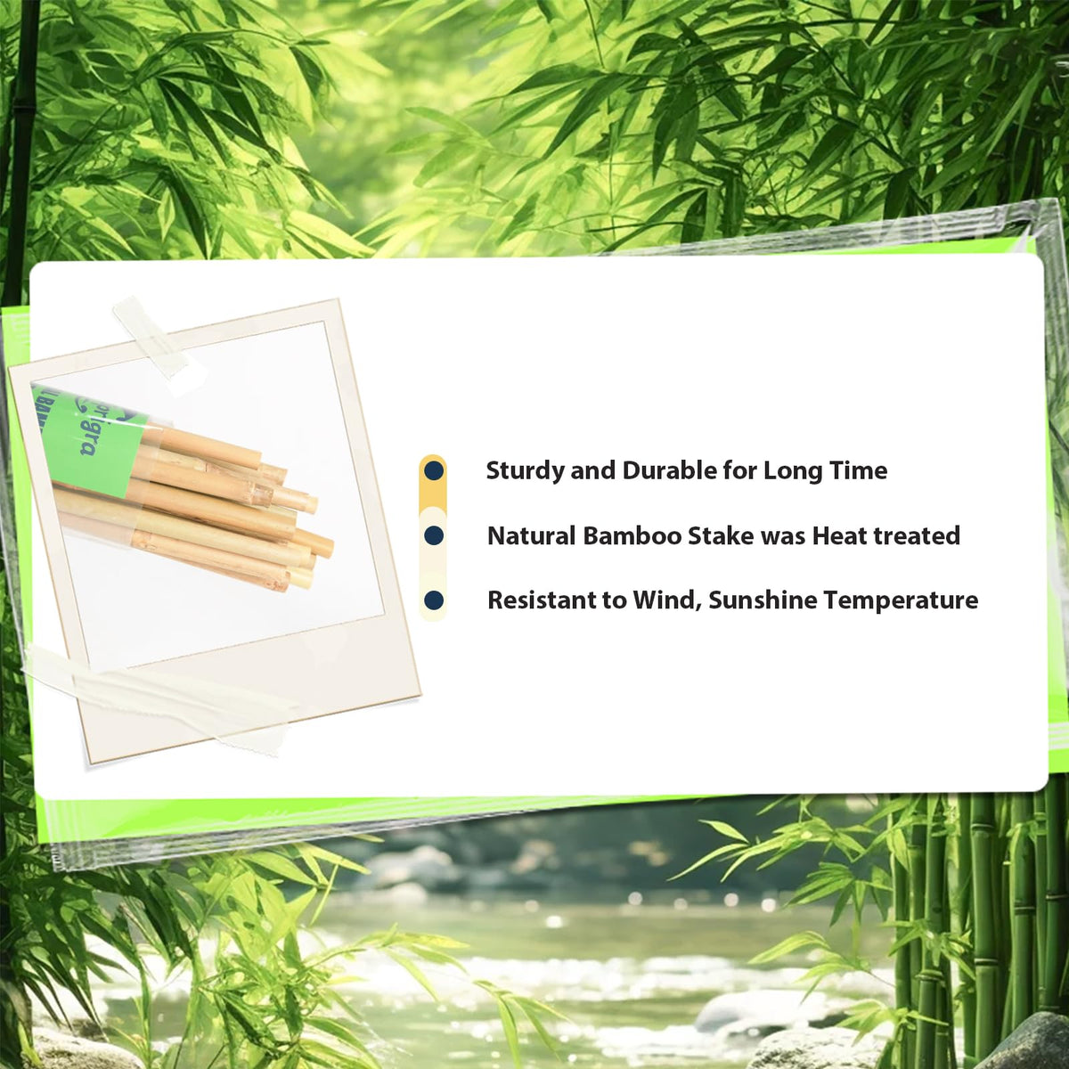 Sprigra bamboo stakes tomato stake use supports heavy tomato vines.