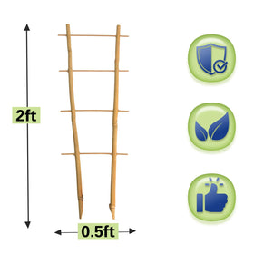 Sprigra bamboo lattice frame with stepped design guiding vines toward support