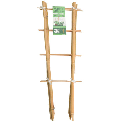 Sprigra bamboo trellis stand setup showing a sturdy 2ft stake system for climbing plants