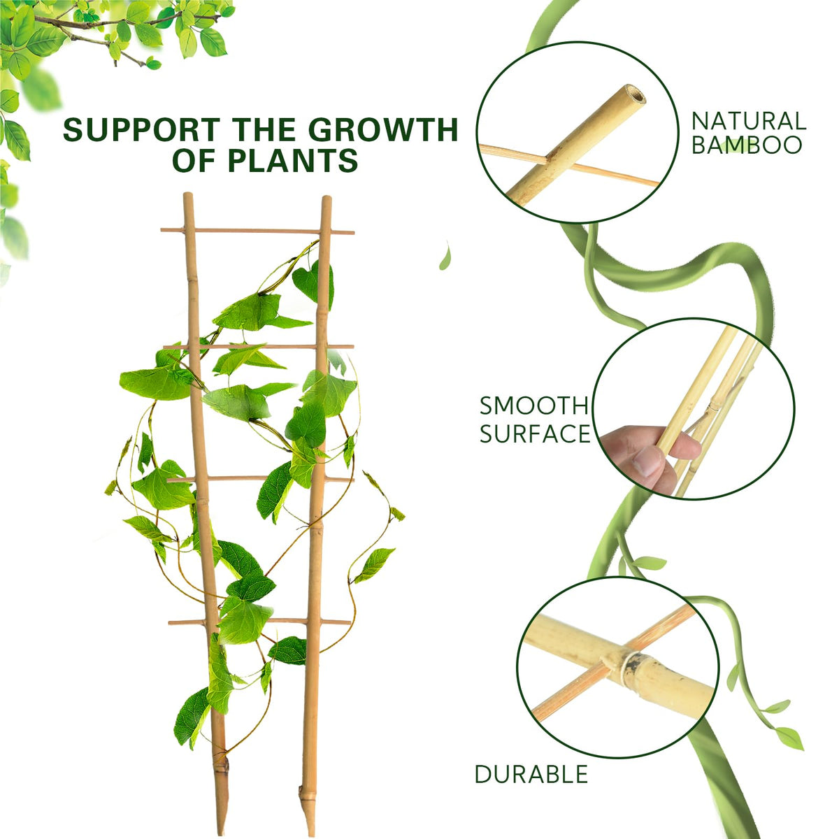 Sprigra 2ft trellis supports orchids and ivy with reliable garden-grade stakes