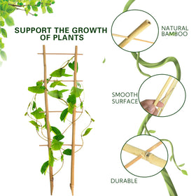 Sprigra 2ft trellis supports orchids and ivy with reliable garden-grade stakes