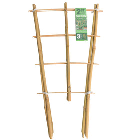 Sprigra Bamboo Trellis front view offering natural plant support