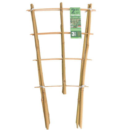 Sprigra Bamboo Trellis front view offering natural plant support