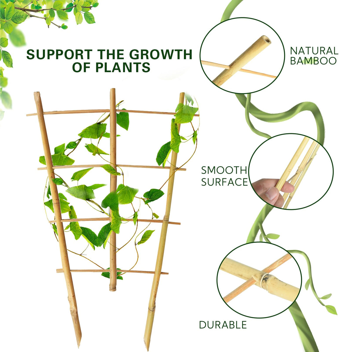 Sprigra Bamboo Trellis in garden setup supporting ivy and blooms