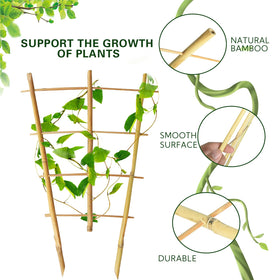 Sprigra Bamboo Trellis in garden setup supporting ivy and blooms