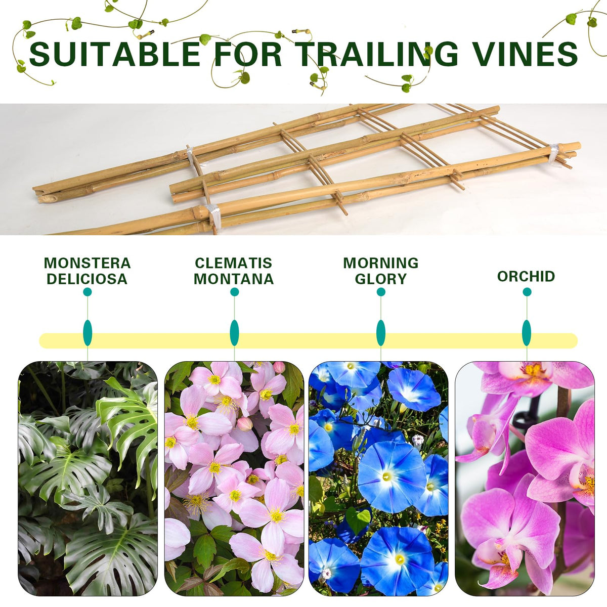 Sprigra Bamboo Trellis packaging highlighting 3-pack value
