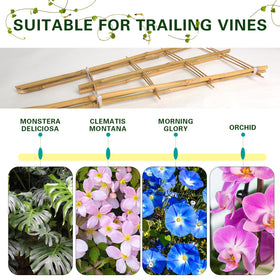 Sprigra Bamboo Trellis packaging highlighting 3-pack value
