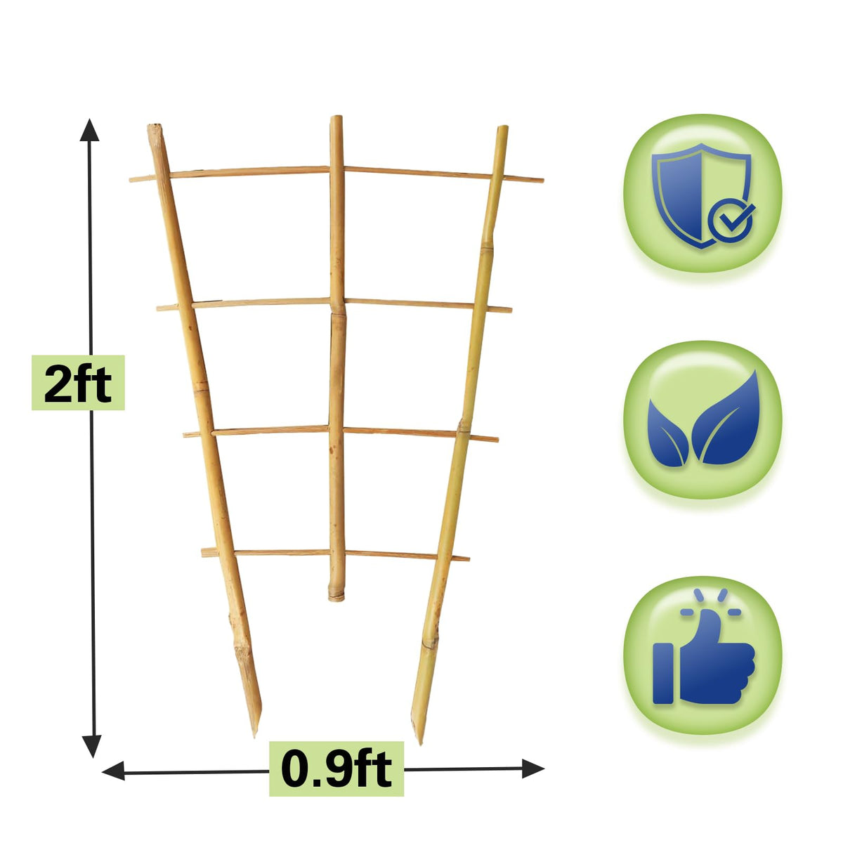 Sprigra Bamboo Trellis side view showing sturdy lattice for growth