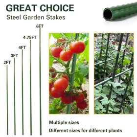 Sprigra 30-pack in packaging highlights value for larger garden setups.