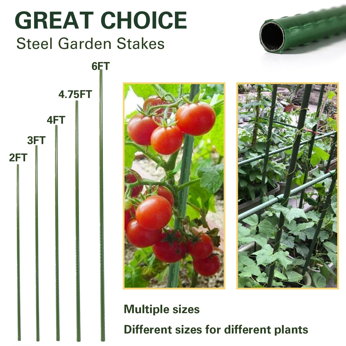 Sprigra sturdy metal plant stake with robust steel core for lasting support.