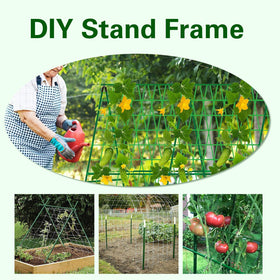 Sprigra tomato cucumber bean stake ideal for vines and climbing vegetables.