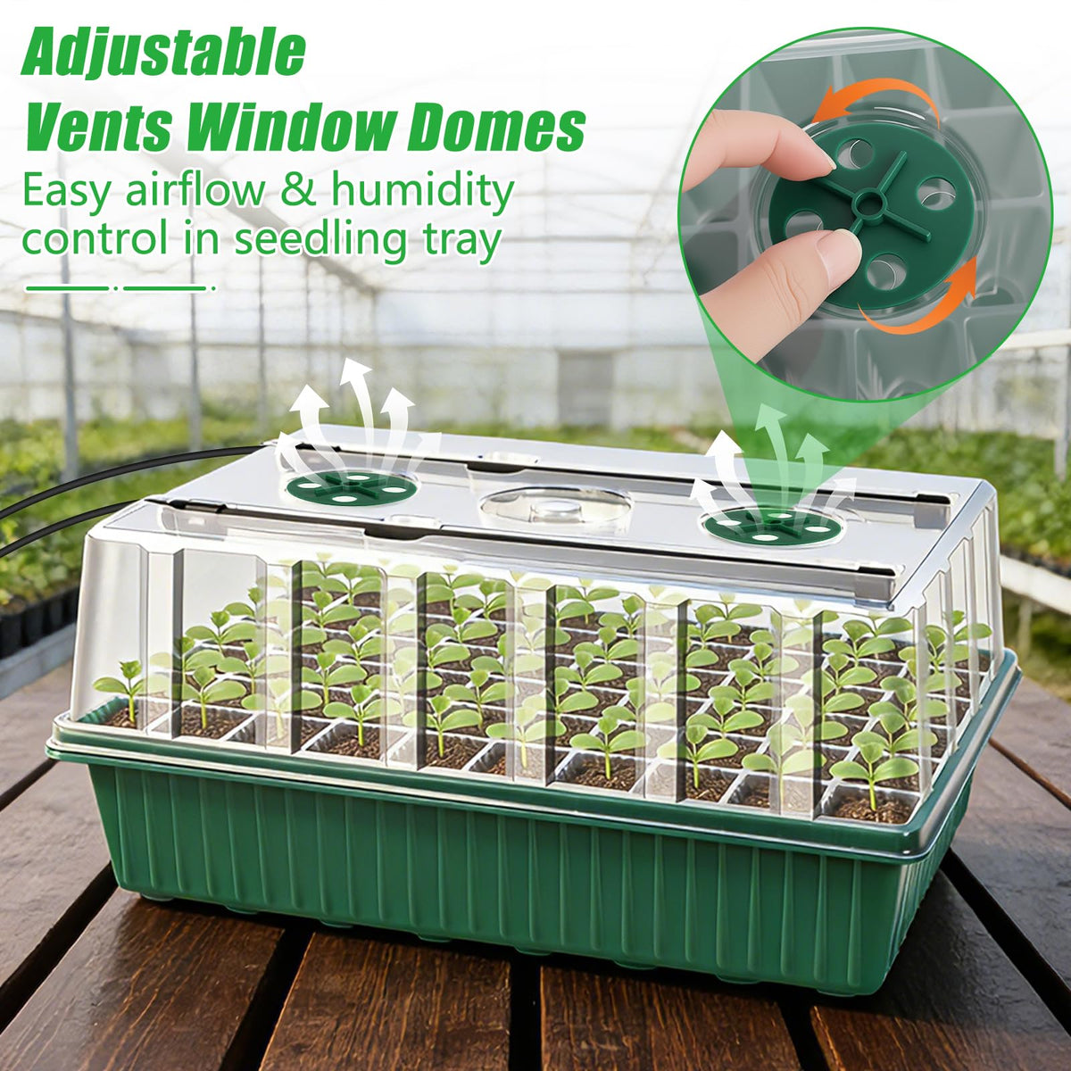 SprintGy durable PET material seed starter tray for long-term use