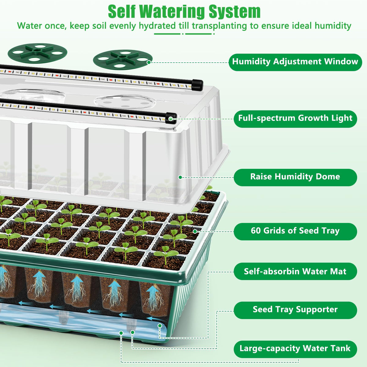 SprintGy grow light system provides full-spectrum illumination for healthy germination