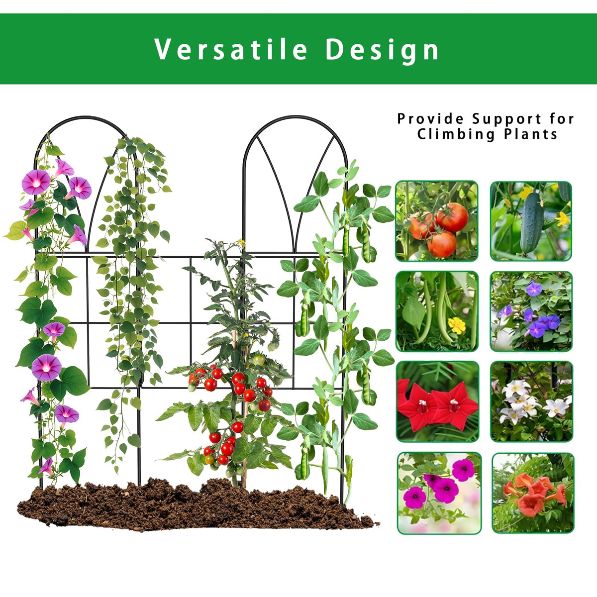 SprintGy rustproof wall trellis keeps roses and cucumbers securely upright through seasons.