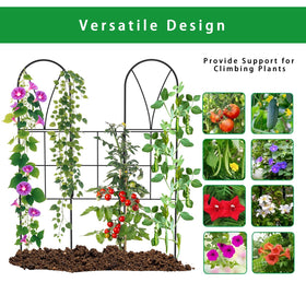 SprintGy rustproof wall trellis keeps roses and cucumbers securely upright through seasons.