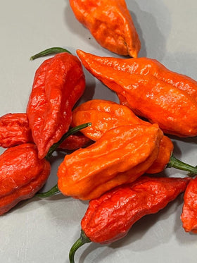 SPROUTARAQ spice powder idea using dried Bhut Jolokia peppers to add heat.