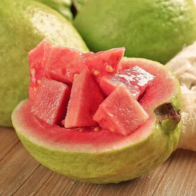 SPROUTARAQ Tropical Guava tree with dense foliage creates privacy