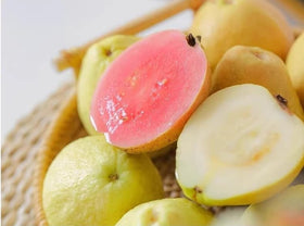 SPROUTARAQ Tropical Guava tree white flowers signals lush summer bloom