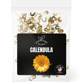 SPROUTME SEEDS Calendula Pacific Beauty bloom in a sunlit garden, ideal for borders and edible petals.